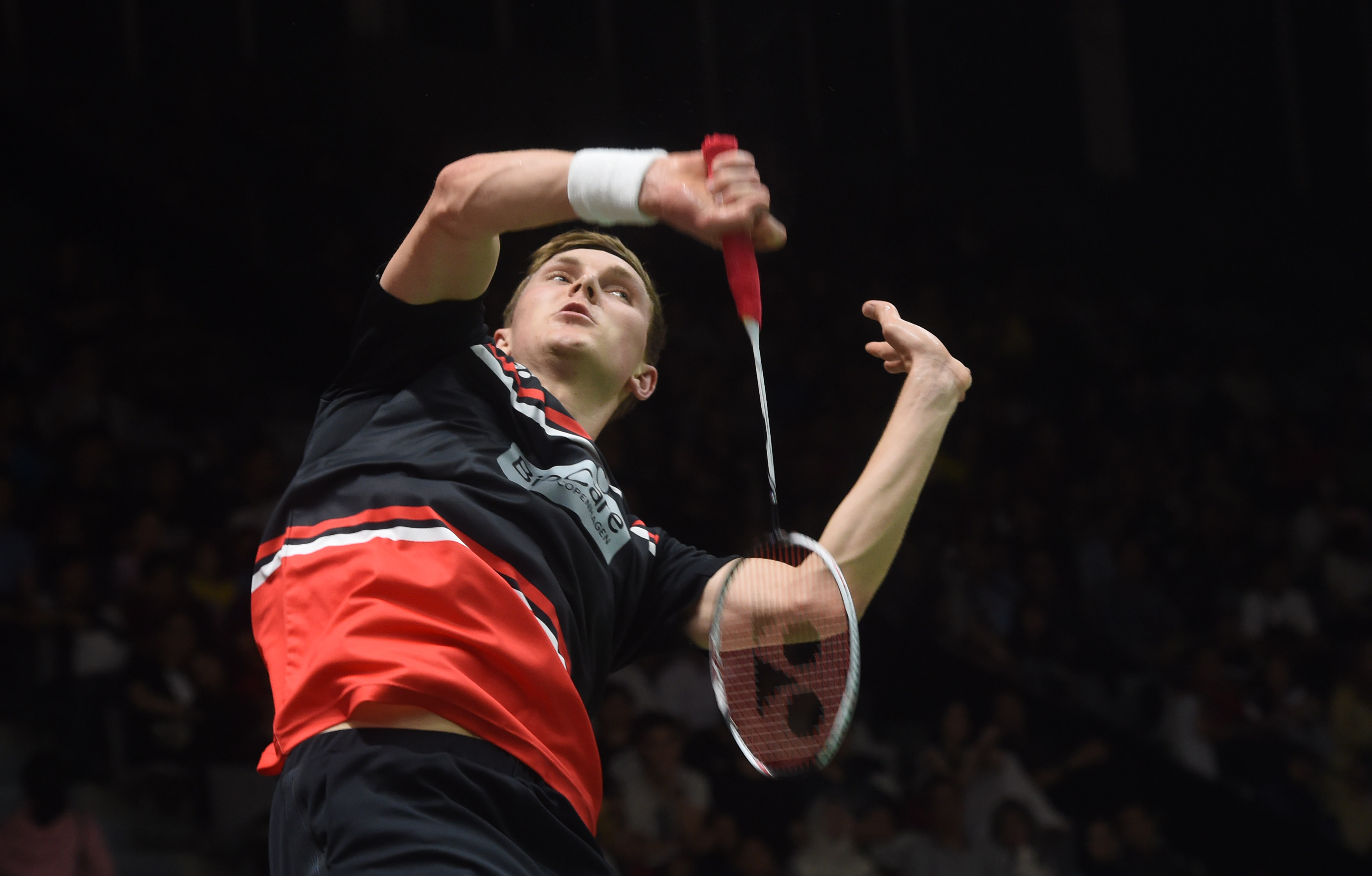 家队中的地 家队中的地