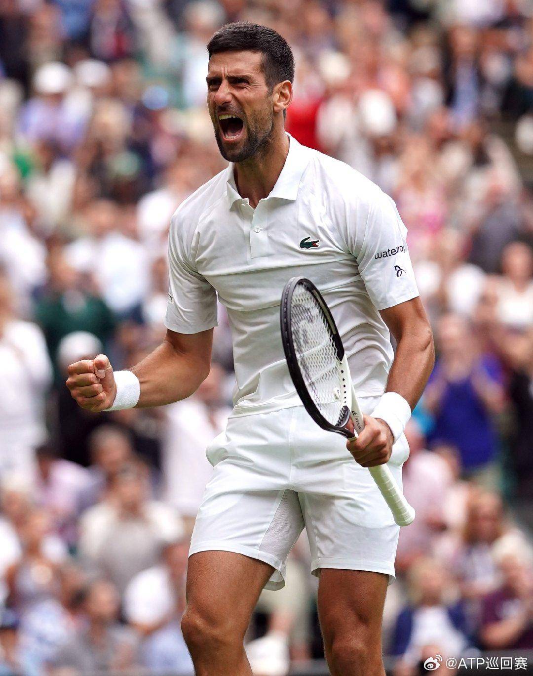 位内线巨塔 位内线巨塔