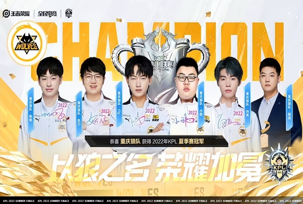 职业球员的